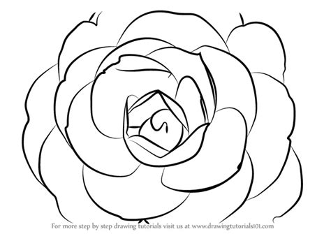 how to draw chanel camellia|chanel camellia flower.